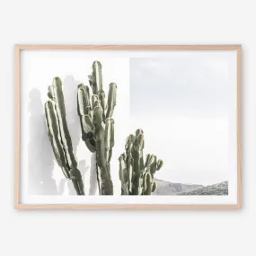 Cactus Summer Photo Art Print