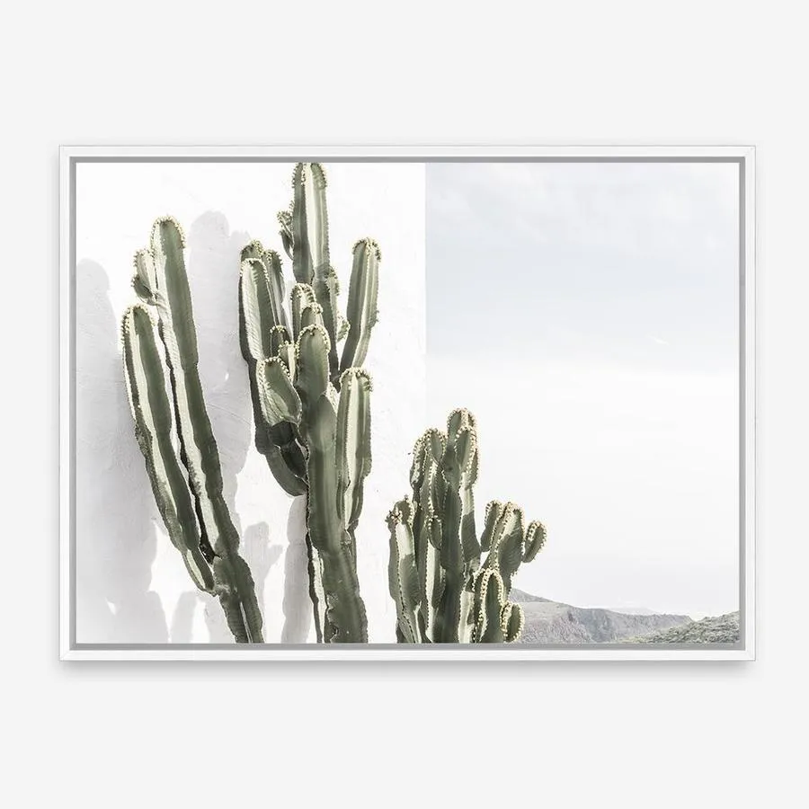 Cactus Summer Photo Canvas Print