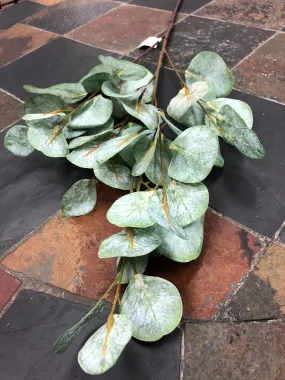 Flat Leaf Green Eucalyptus Soft Stem