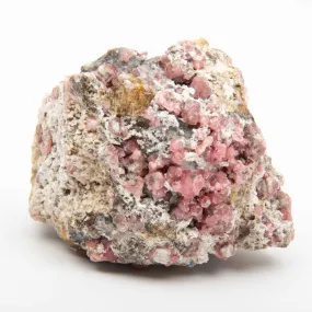 Garnet - Pink, Rough w/ Vesuvianite